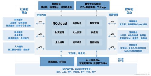 企业级bi应用与实践2 用友erp 以nc系列产品为例